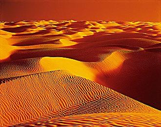 《使命召唤22：黑色行动7》新预告 11月14日发售